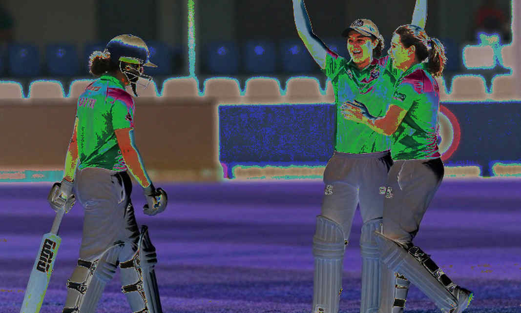 The Brisbane Whitewash: How an 8-Wicket Margin Hides the Real Gap The Brisbane Whitewash: How an 8-Wicket Margin Hides the Real Gap